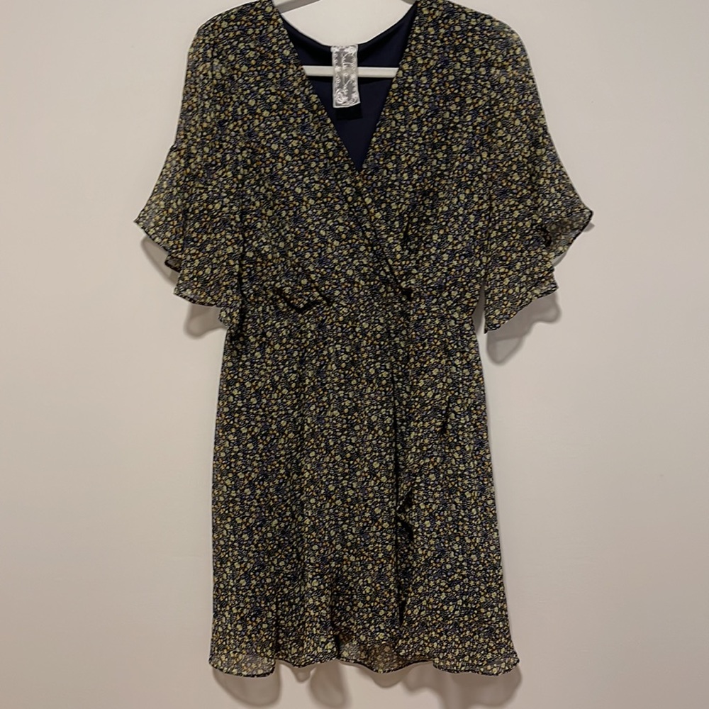 Sadie and Sage dress